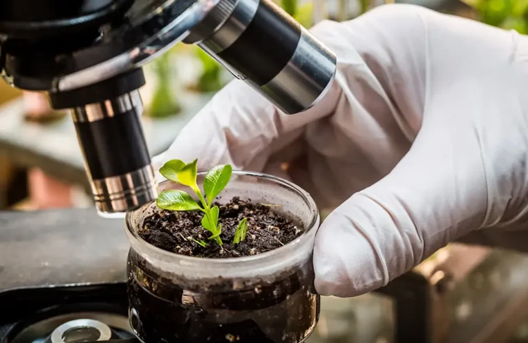 Research & Development for the forestry and timber industry of the future